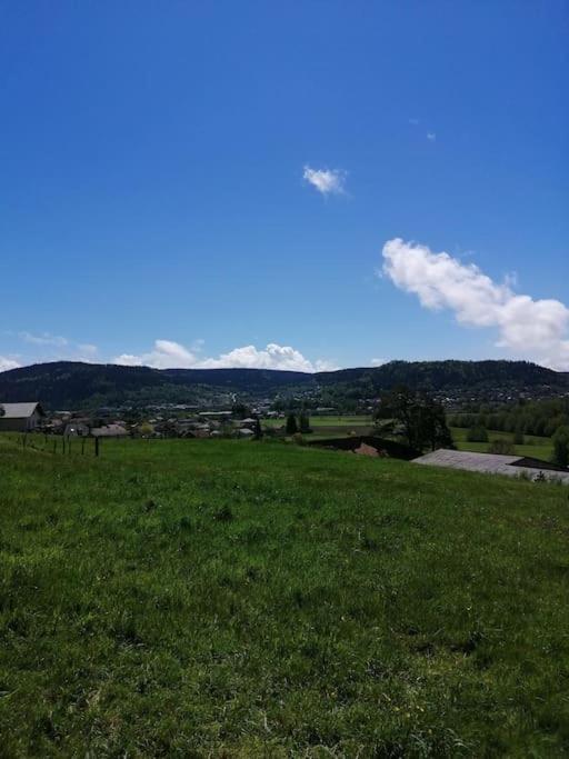 Saint-Etienne-les-Remiremont La Maison Bleue מראה חיצוני תמונה